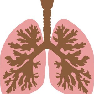 肺癌ALK突变靶向药克唑替尼最新说明书